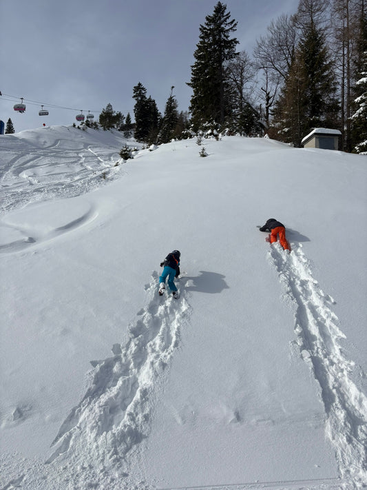 BERGFEST
